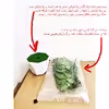 گلدان به همراه گل مصنوعی مدل برگ پروانه ای الماسی