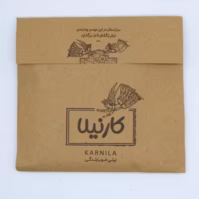 کاشی کارنیلا طرح شازده کوچولو مدل لوحی کد WKB884 