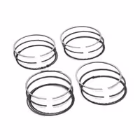 رینگ پیستون بنز C250 اتاق W204