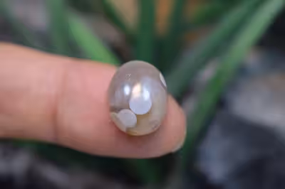 عقیق باباقوری