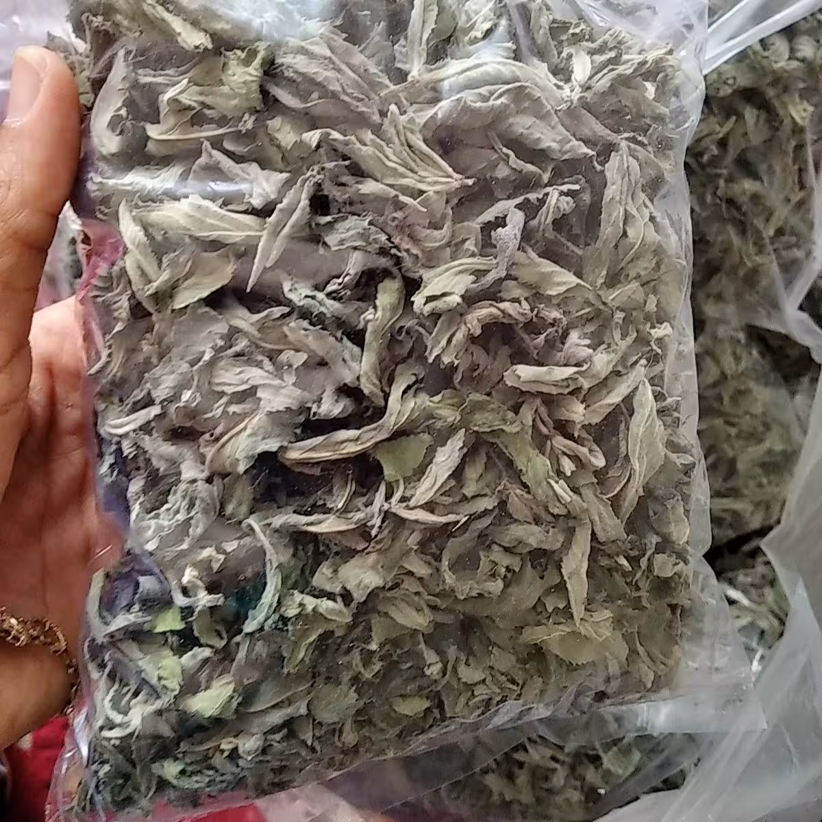 پونه کوهی خشک شده