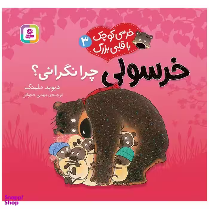 کتاب خرسی کوچک با قلبی بزرگ 3 خرسولی چرا نگرانی؟ اثر دیوید ملینگ انتشارات قدیانی