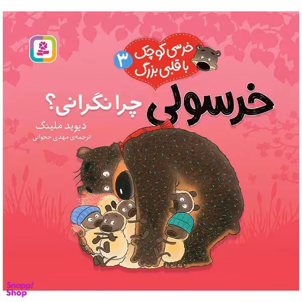 کتاب خرسی کوچک با قلبی بزرگ 3 خرسولی چرا نگرانی؟ اثر دیوید ملینگ انتشارات قدیانی
