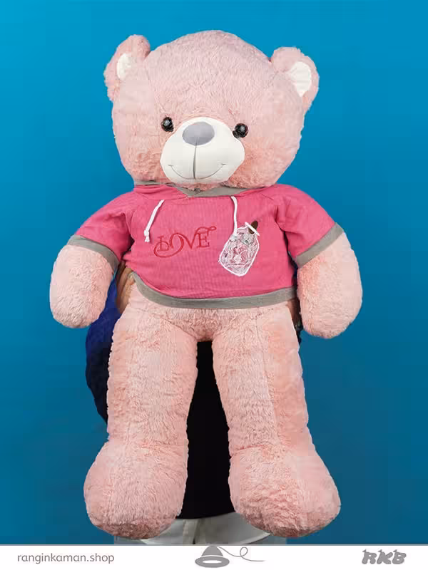 عروسک خرس سویشرت لاو کد 30_943 love sweatshirt bear doll
