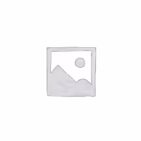 کلاسور 20 حلقه چرم قفل طلایی 2596 CLIPS