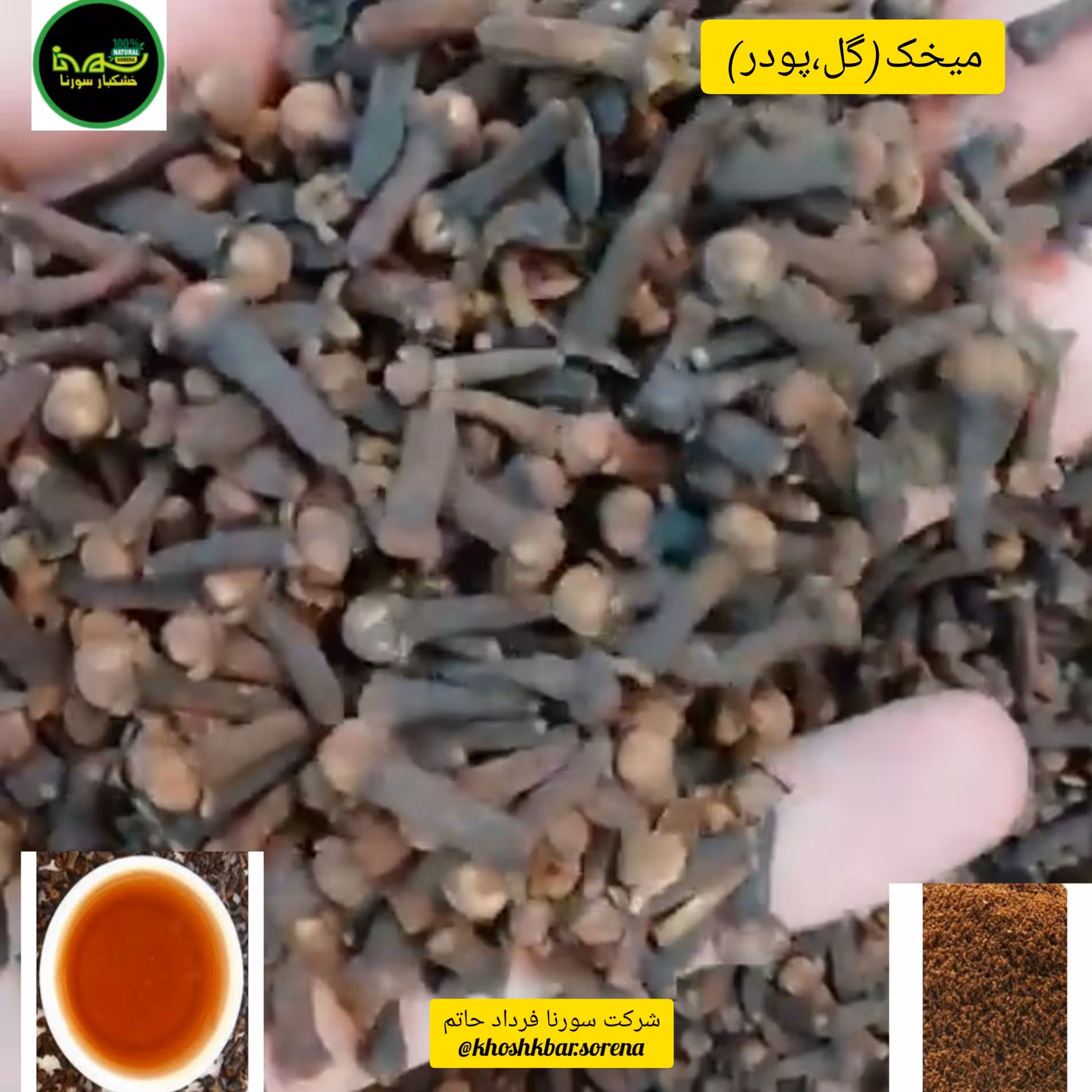 گل میخک قلم درشت درجه یک در بسته بندی 375 گرمی