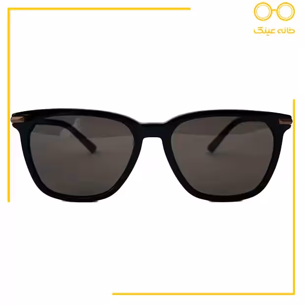 خرید عینک آفتابی مردانه DAVIDOFF مدل DAPS111_01 با قیمت عالی