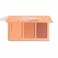 پالت رژ گونه شیگلم رنگ Private Cabana21445586584995