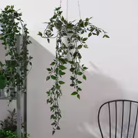 گل و گلدان آویز ایکیا مدل FEJKA