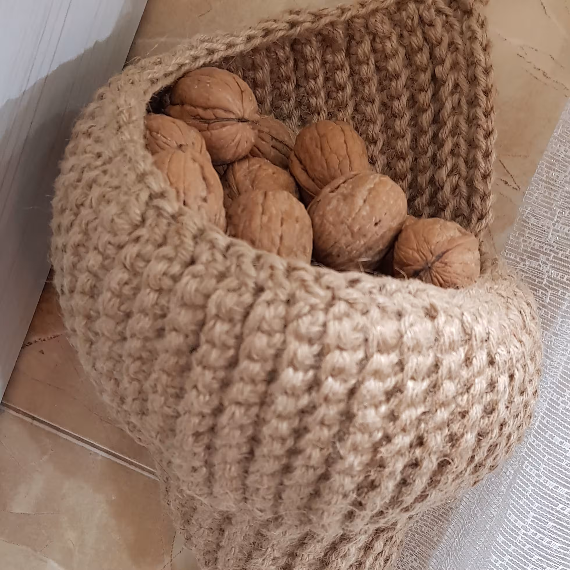 سبد صدف حلزون دریایی