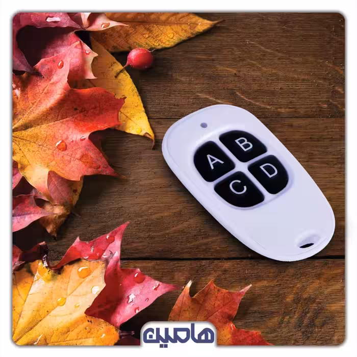 ریموت کد لرن صدفی