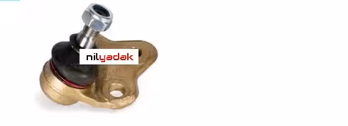 سیبک طبق فیدلیتی
