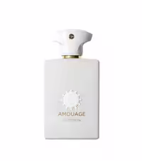 عطر مردانه و زنانه آمواج دسیژن ادوپرفیوم – Amouage Decision Eau De Parfum