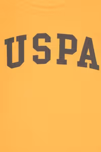 سویشرت پسرانه یو اس پولو