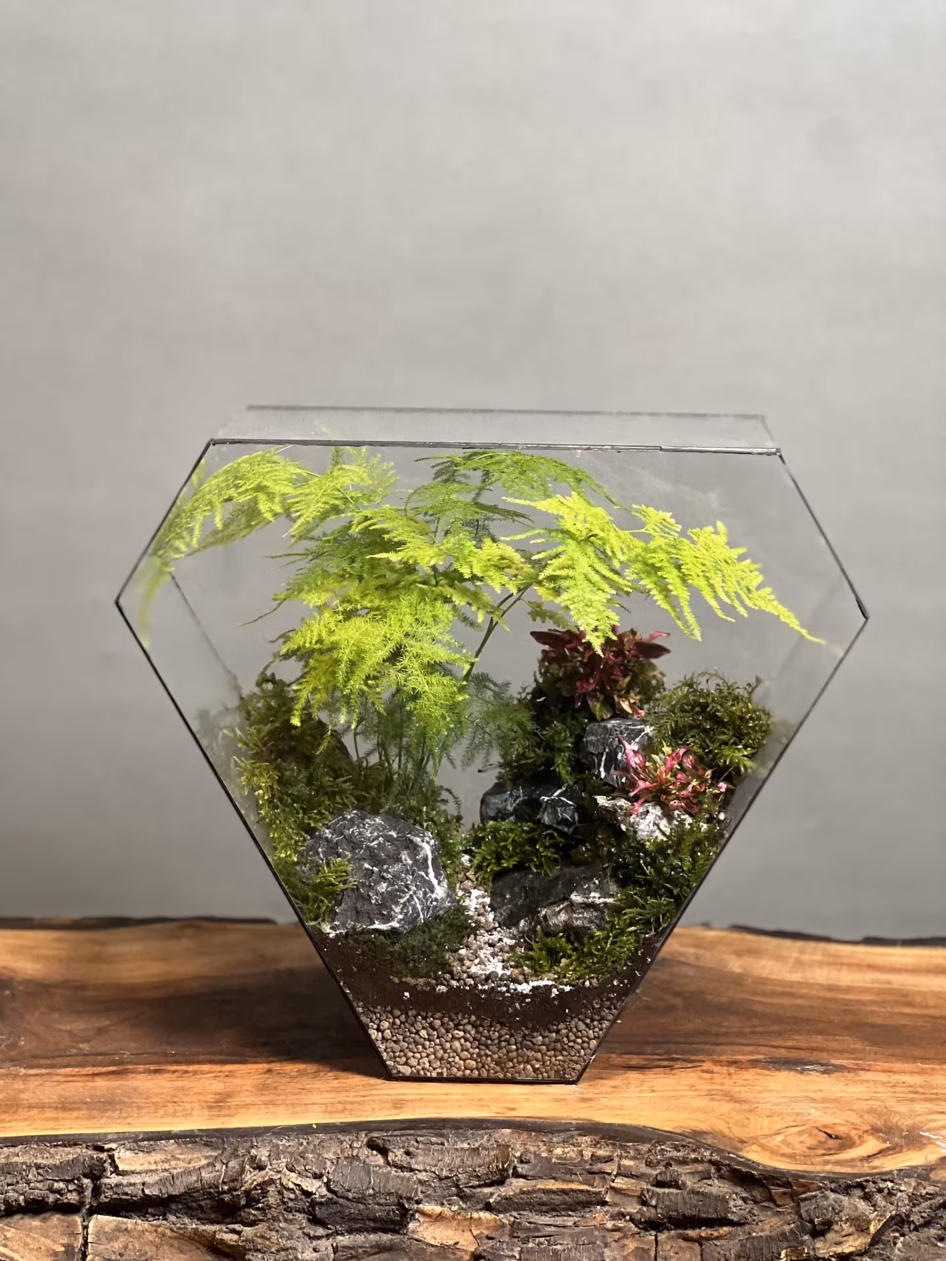 خرید تراریوم‌ طرح مثلث زندگی ارسال فوری به تهران و سراسر ایران