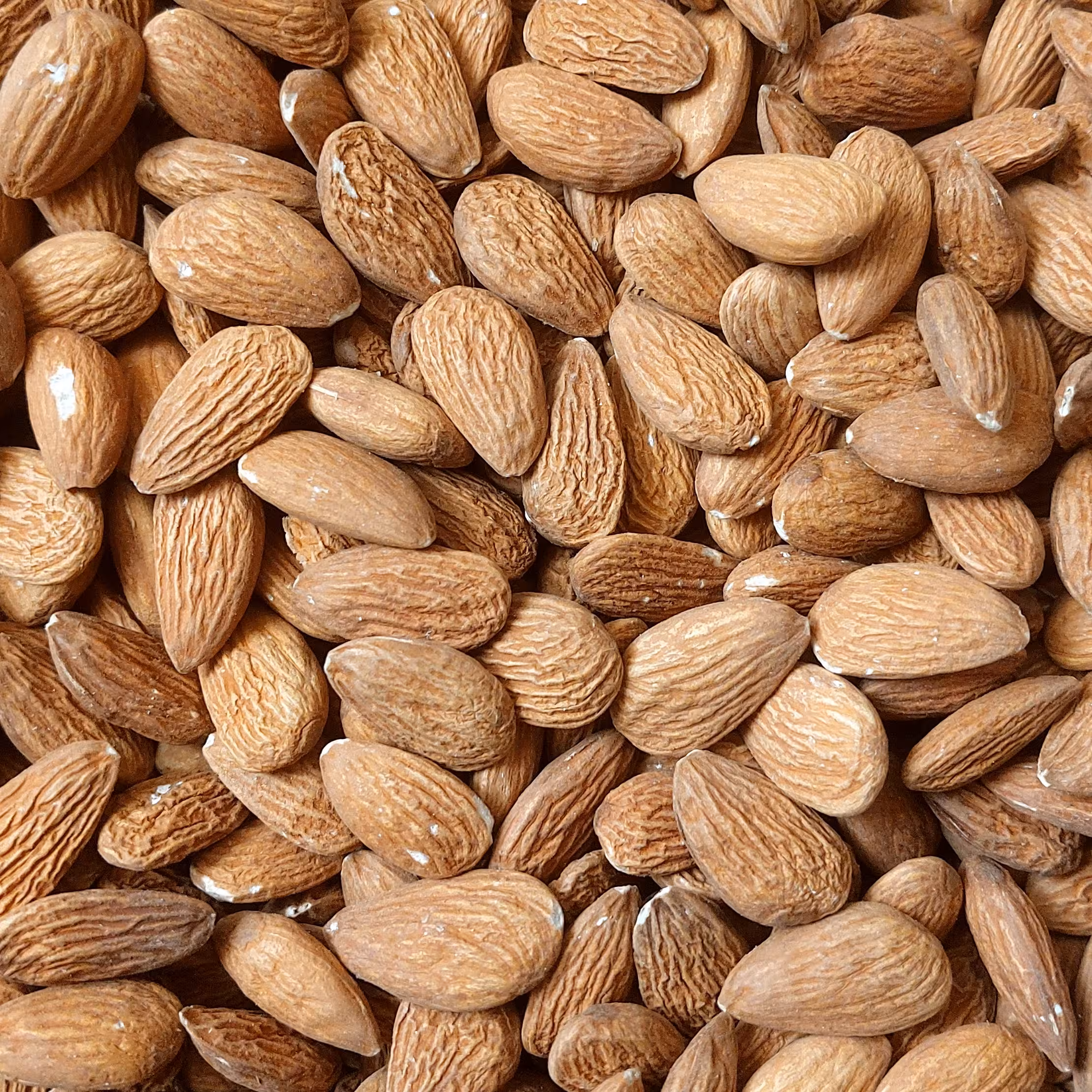 مغر بادام درختی خام خارجی درجه یک بسته 1000گرمی