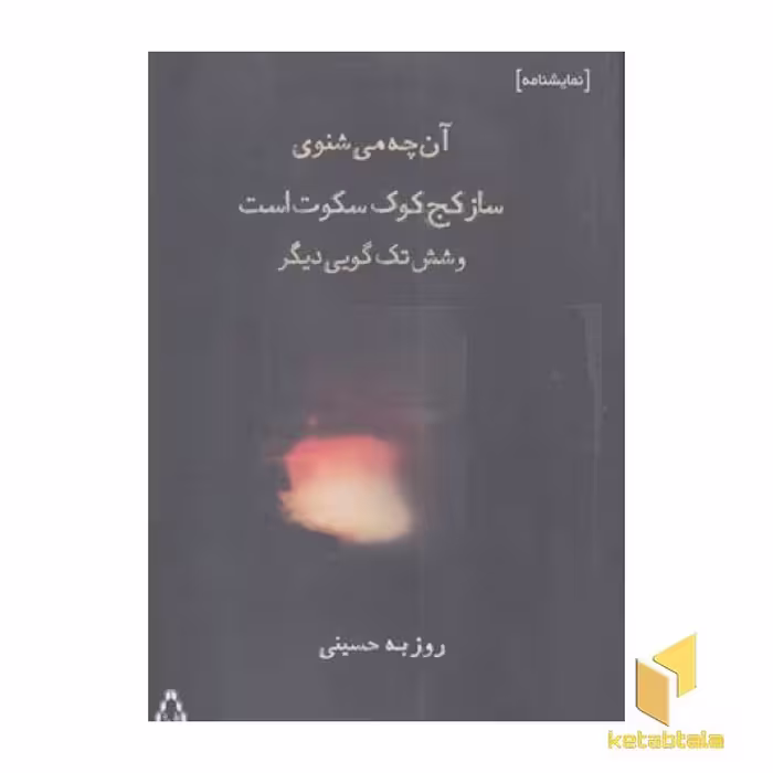کتاب آن چه می شنوی ساز کج کوک سکوت است اثر روزبه حسینی نشر افراز