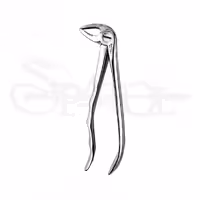فورسپس اناتومیک ریشه کش پایین دنتال دیوایسDental Devices