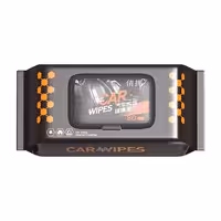 دستمال مرطوب مخصوص کفش و خودرو بسته 80 عددی کد630