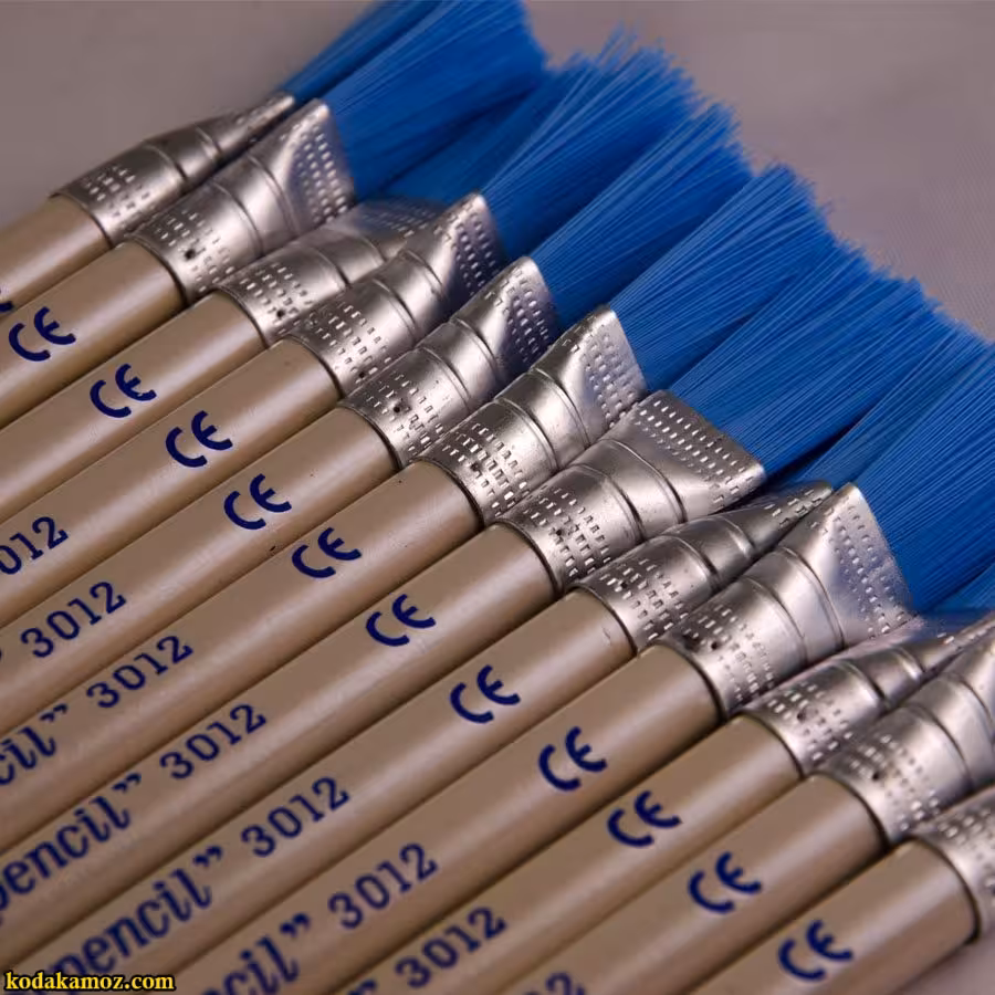 پاکن فرچه ای فکتیس