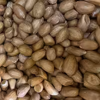 بادام زمینی آستانه خام 