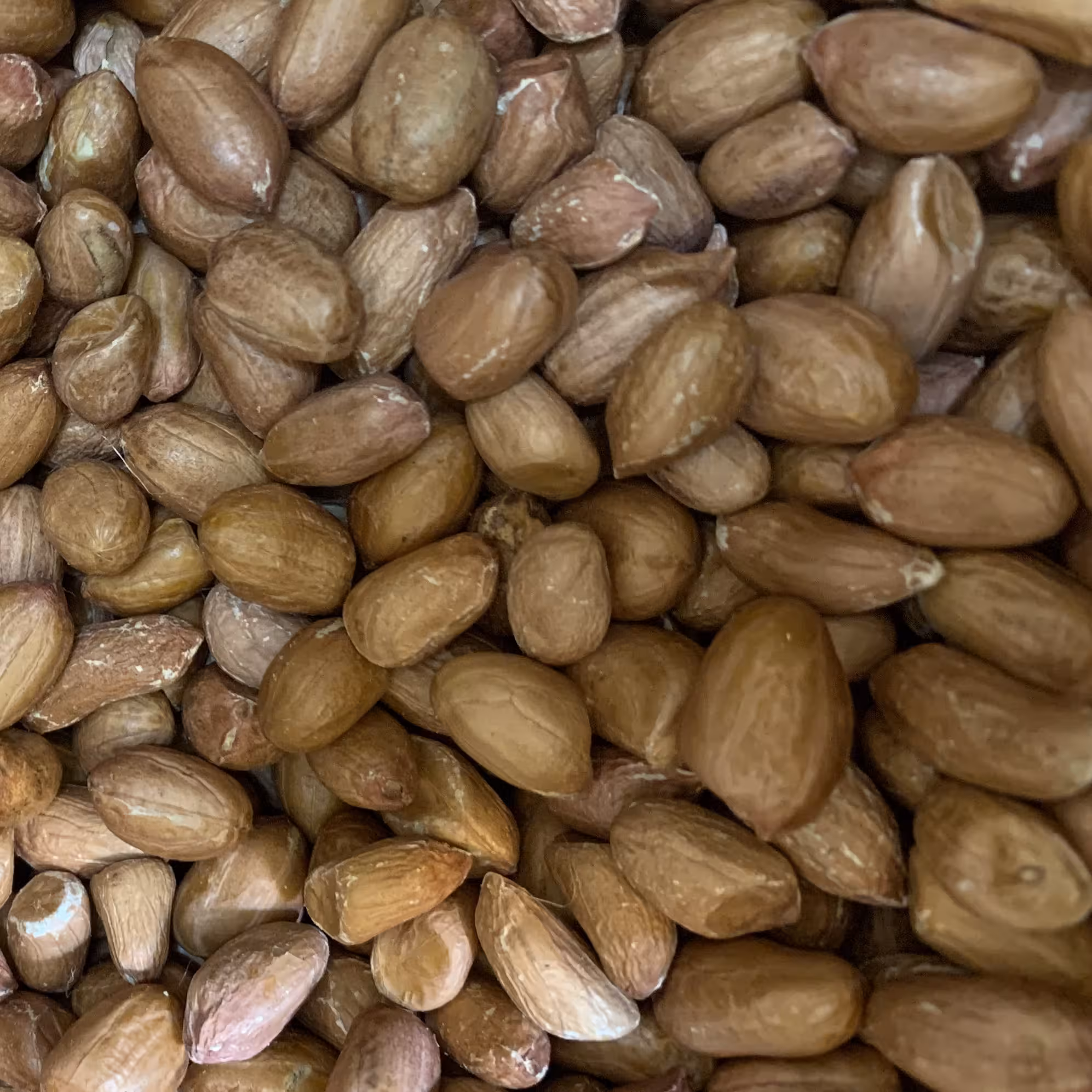 بادام زمینی آستانه خام 