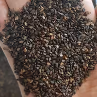 کنجد مشکی پاکستانی شسته شده -  هزینه ارسال با مشتری میباشد