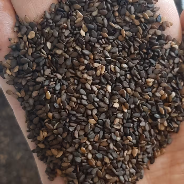 کنجد مشکی پاکستانی شسته شده -  هزینه ارسال با مشتری میباشد