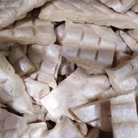 نبات زنجبیلی تازه اعلا درجه 1 تضمین کیفیت