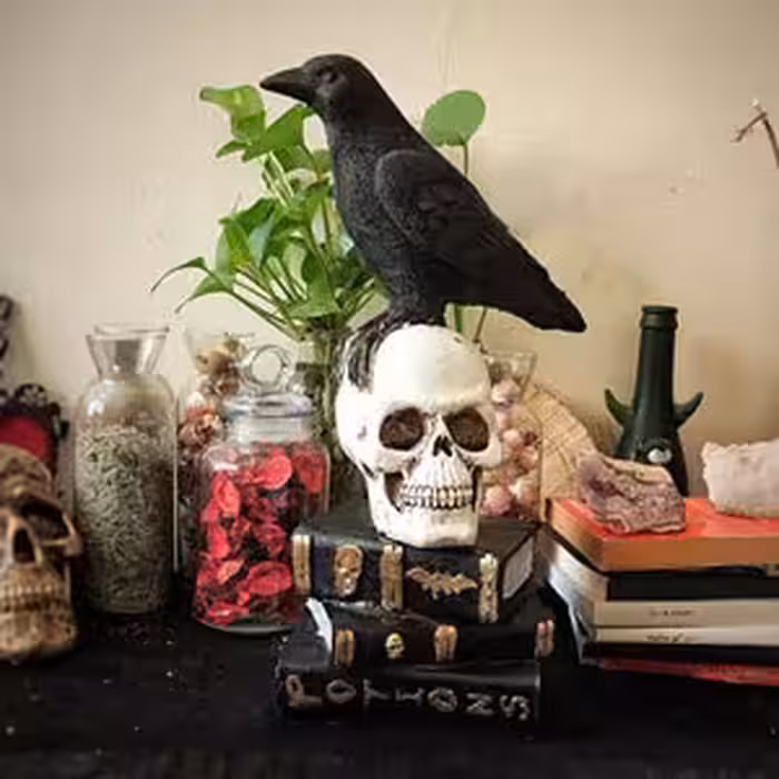 مجسمه کلاغ با جمجمه