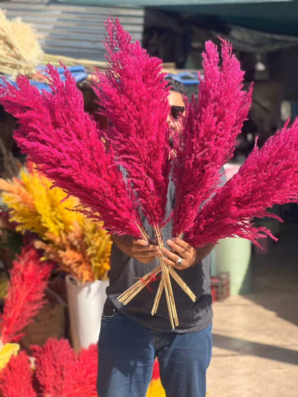 گل خشک پامپاس 10 عددی رنگ صورتی