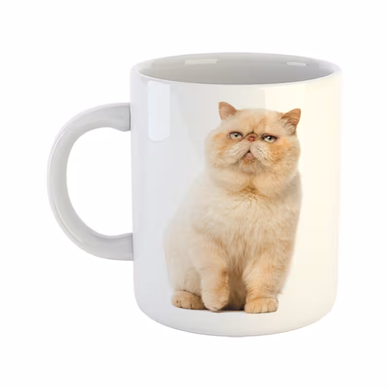 خرید ماگ-لیوان  گربه  persian cat کد 04