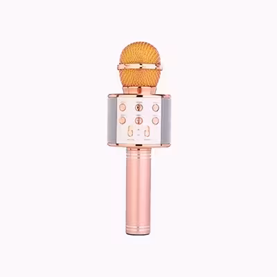 میکروفون اسپیکر مدل WS-858