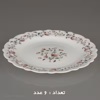 سرویس غذا خوری 25 پارچه آیروپال طرح کنگره مدل گلوریا