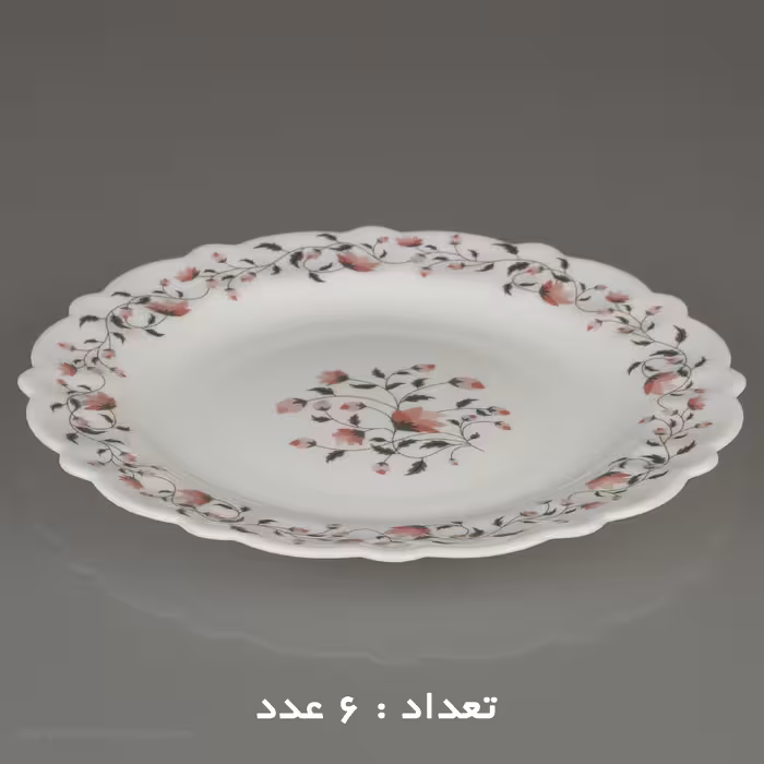 سرویس غذا خوری 25 پارچه آیروپال طرح کنگره مدل گلوریا