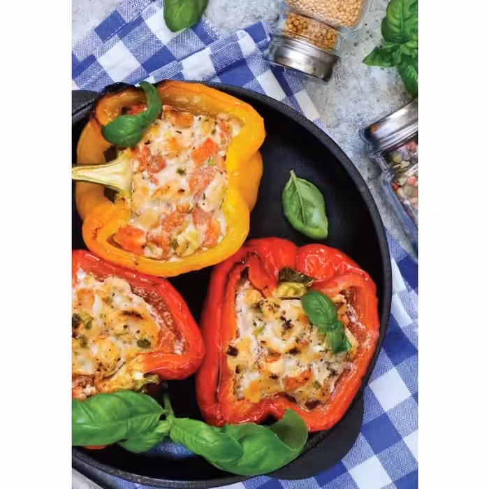 کتاب کتو به روایت سانازسانیا اثر سانازشریفی انتشارات سانازسانیا