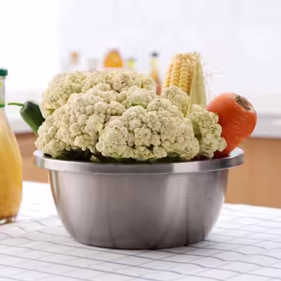 لگن آشپزخانه مدل EL-002400