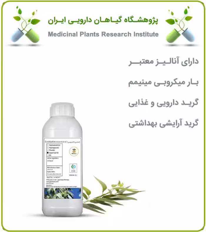 طعم دهنده اکالیپتوس خوراکی
