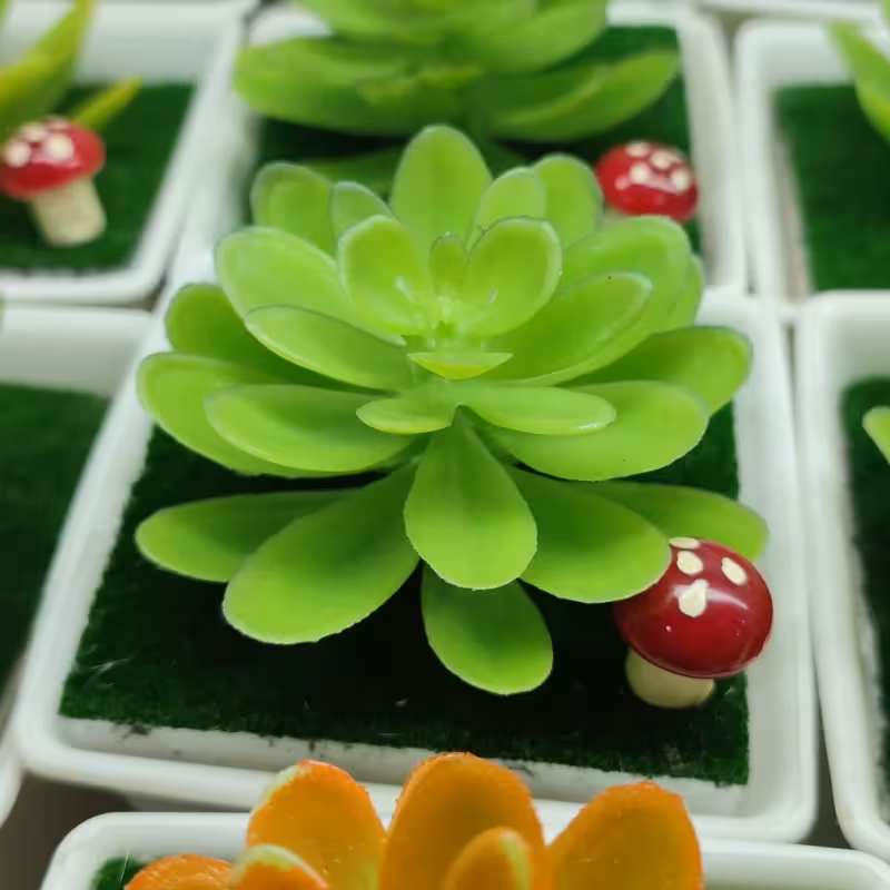 گلدان گل کاکتوس خارجی آپارتمانی ( خرید عمده و تکی گلدون گناوه مارکت )