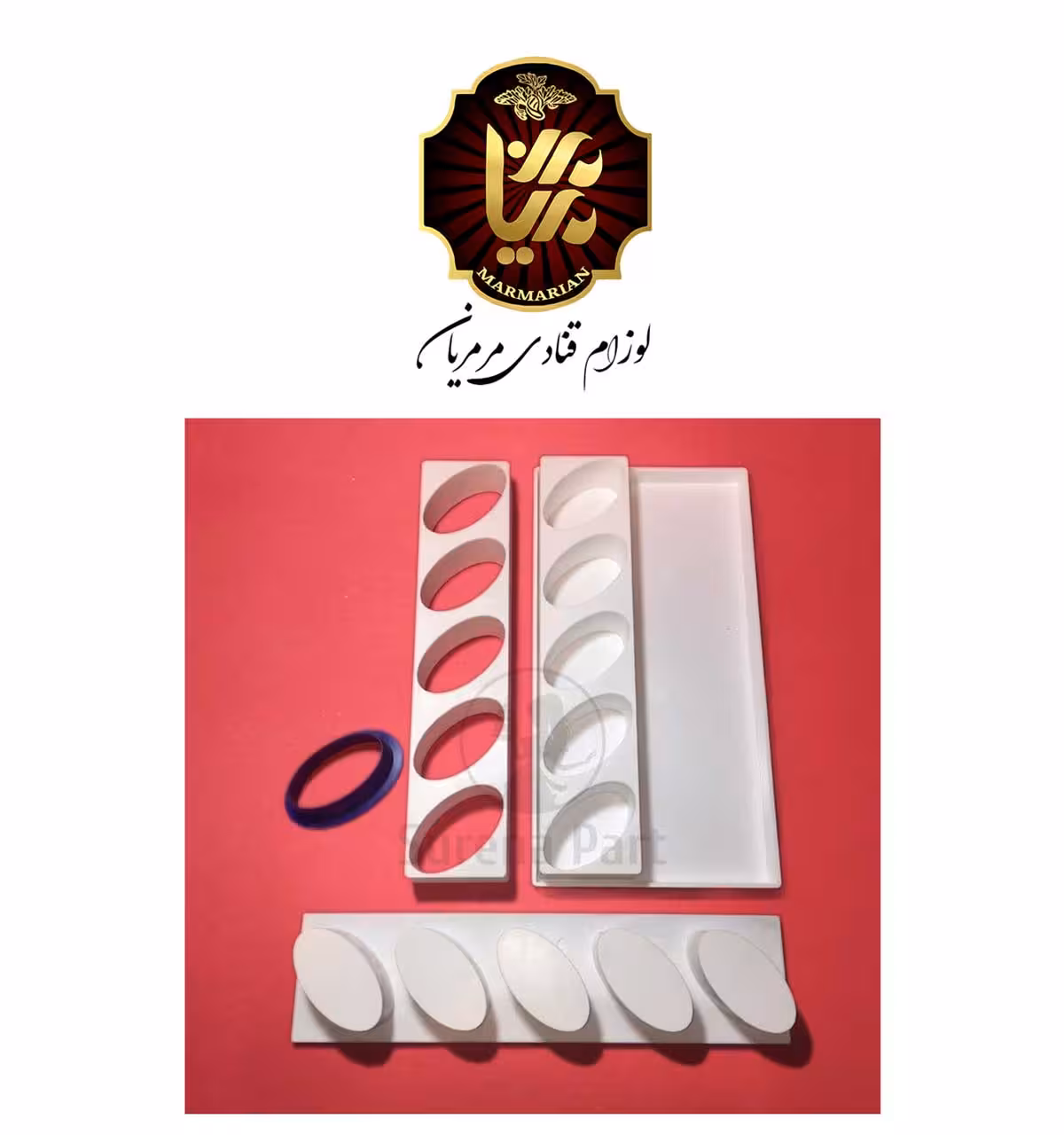 قالب مونوپورشن بیضی