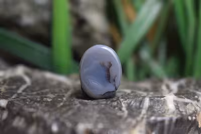 عقیق شجر برزیل