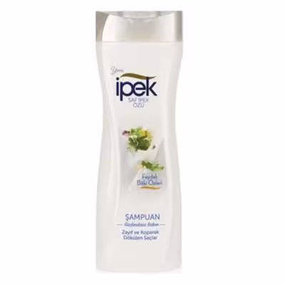 شامپو ایپک Zayıf Ve Koparak نقره ای مخصوص موهای شکننده و ضعیف حجم 600 میلی لیتر