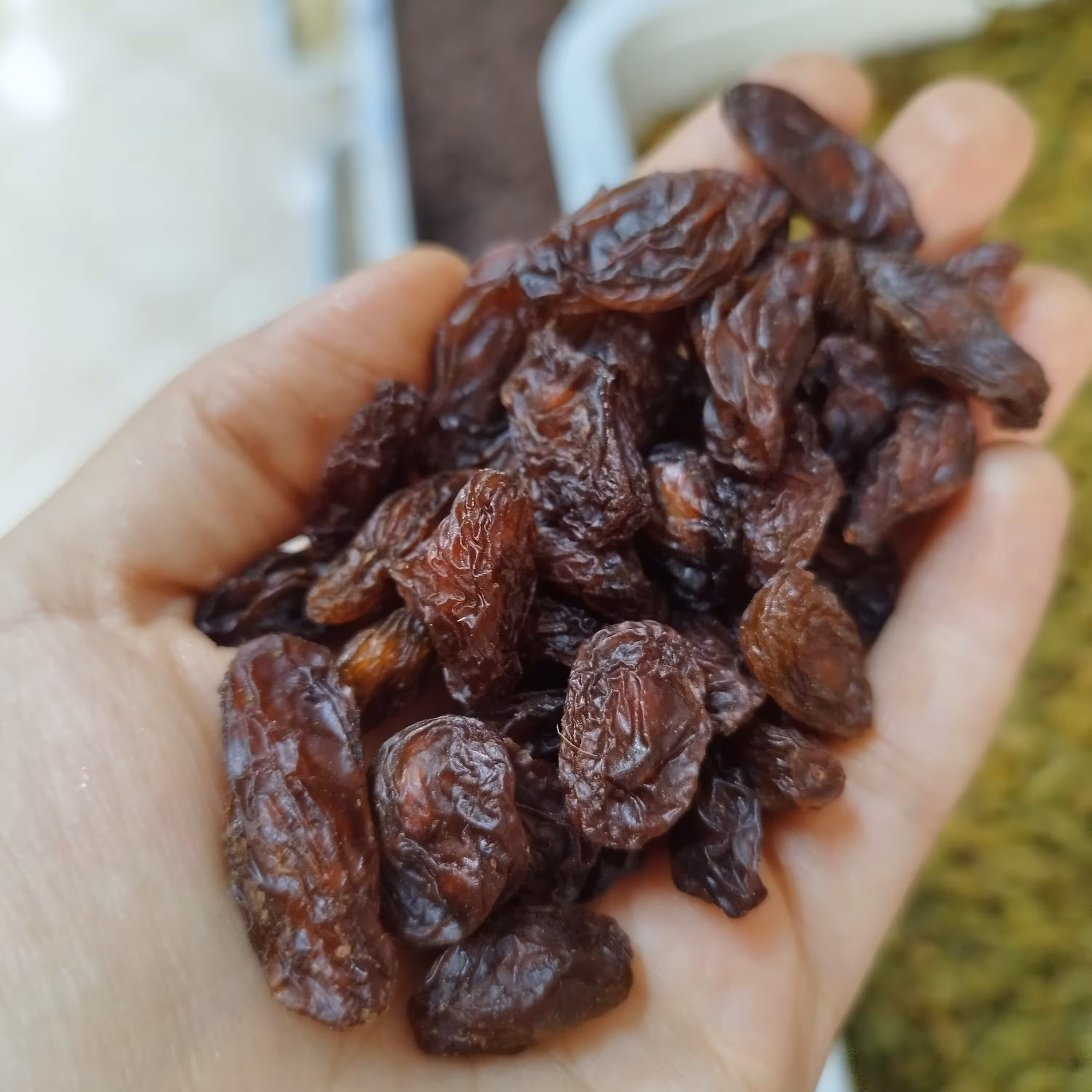 مویز فخری گوشتی شیرازی اعلا (یک کیلو) آفتابی رطبی دیم