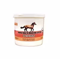 synergist(RASA) مکمل حفاظتی دستگاه گوارش اسب