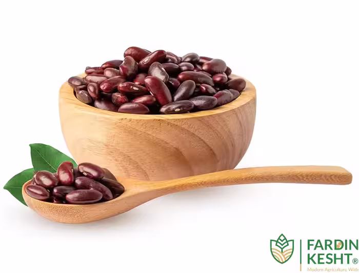 بذر لوبیا قرمز اصیل ایرانی ارگانیک بسته 30 عددی