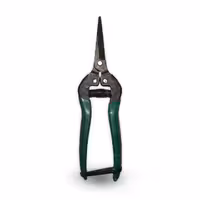 قیچی میوه چینی نوک بلند