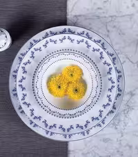 سرویس چینی 103 پارچه فرانسیس سرمه ای