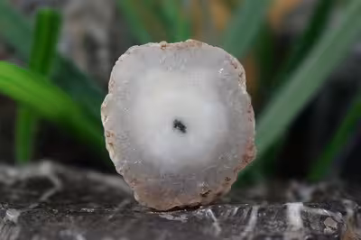 کوارتز خورشیدی