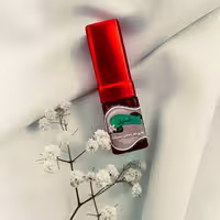 عطر استیل steel حجم 10 گرمی
