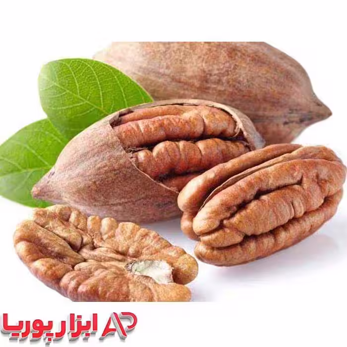 نهال گردو پکان قرمز